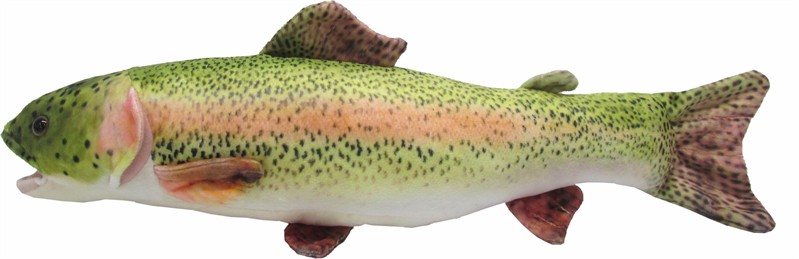 Rainbow Trout