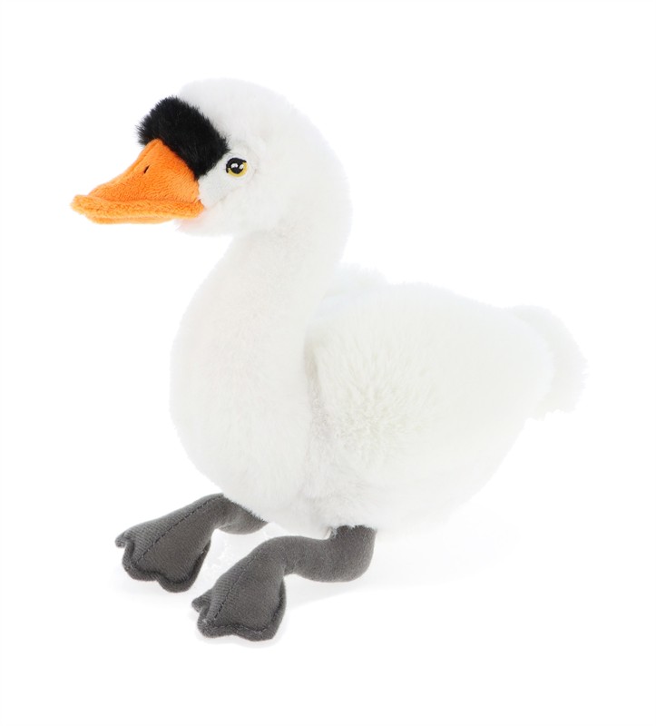 Keeleco Swan