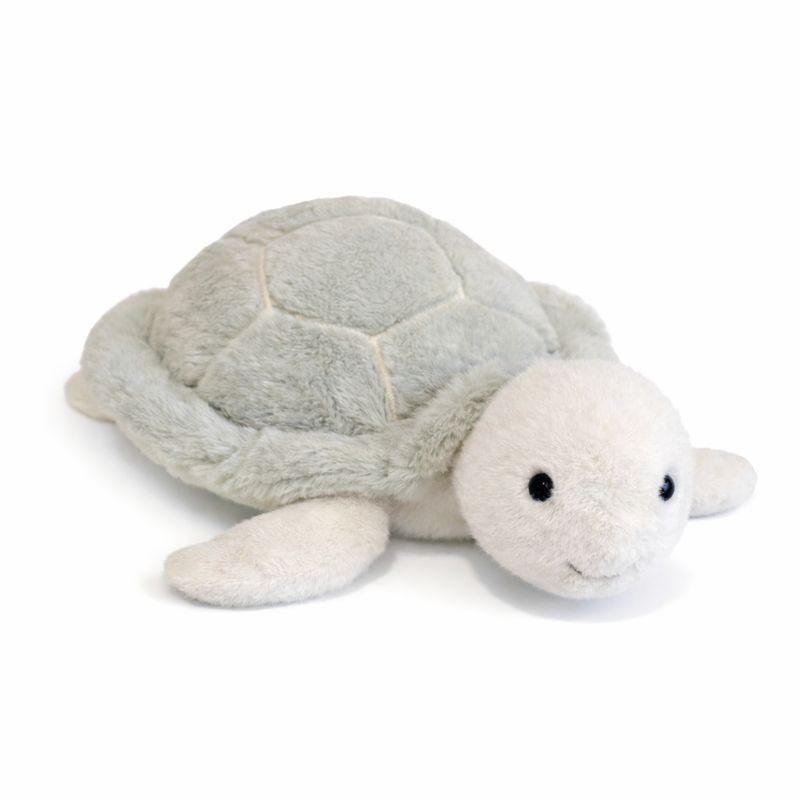 Nori the Turtle
