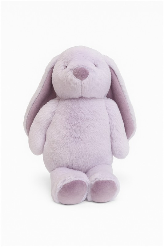 Littlefoot Bunny