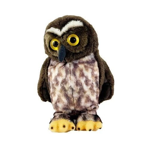 Morepork with sound