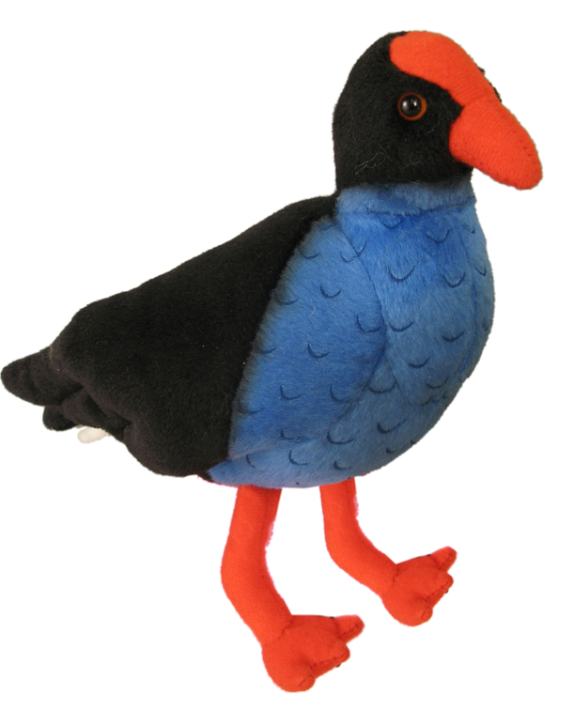 Pukeko with sound