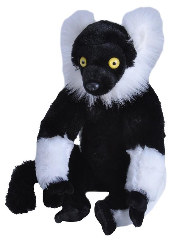 Black & White Ruffed Lemur