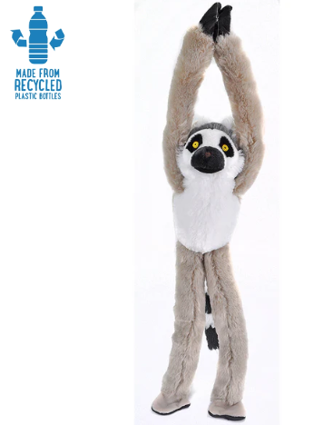 Hanging Ring-Tailed Lemur